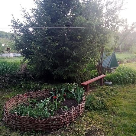 Дибинецькі Карпати Dybintsy Exteriör bild