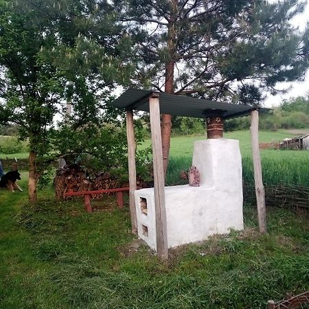 Дибинецькі Карпати Dybintsy Exteriör bild