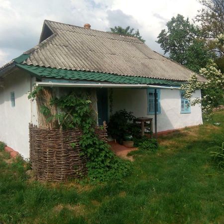 Дибинецькі Карпати Dybintsy Exteriör bild