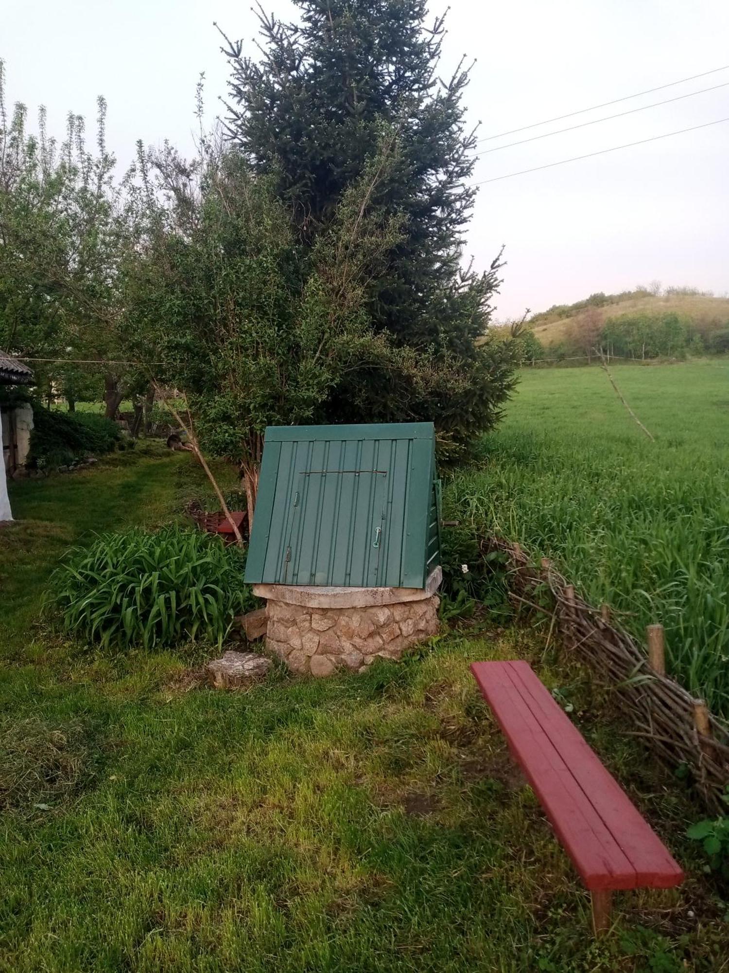 Дибинецькі Карпати Dybintsy Exteriör bild