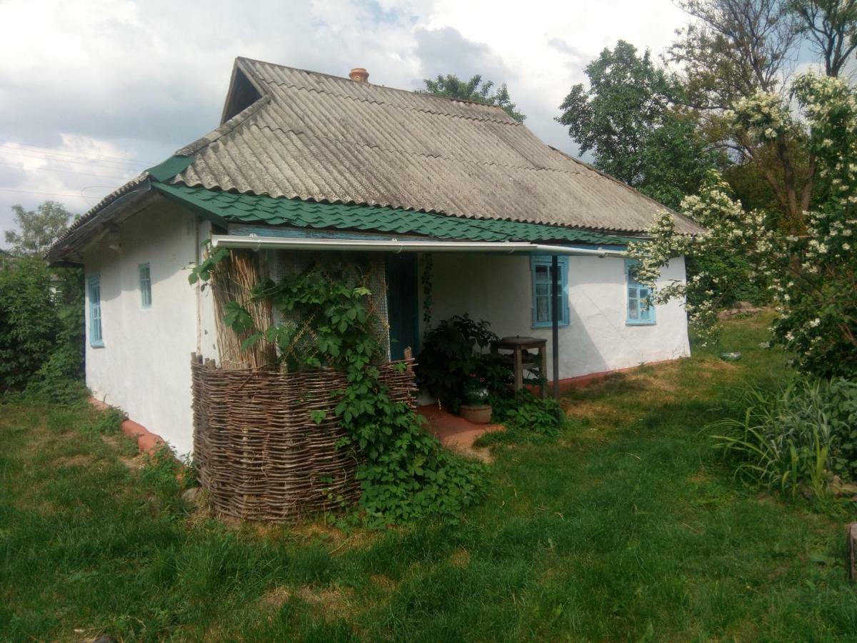 Дибинецькі Карпати Dybintsy Exteriör bild